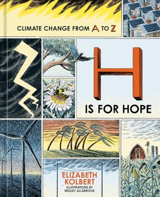 H is for Hope book cover